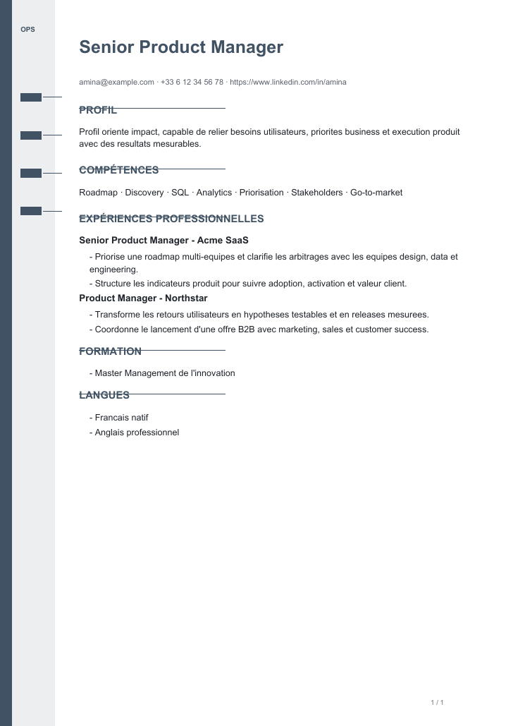 Modele de CV Business Operator