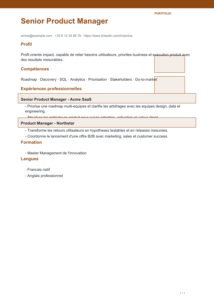 Modele de CV Creative